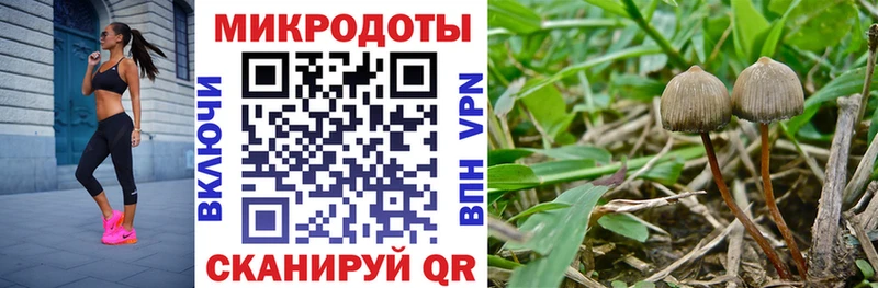Псилоцибиновые грибы мицелий  нарко площадка клад  Катав-Ивановск 